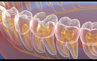 Endodontia